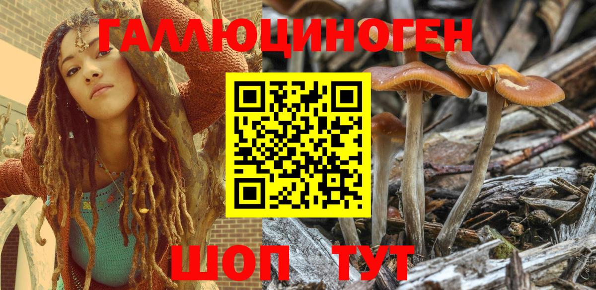 Галлюциногенные грибы Psilocybe  цены наркотик  Октябрьский  Псилоцибиновые грибы мухоморы  Вход с VPN 