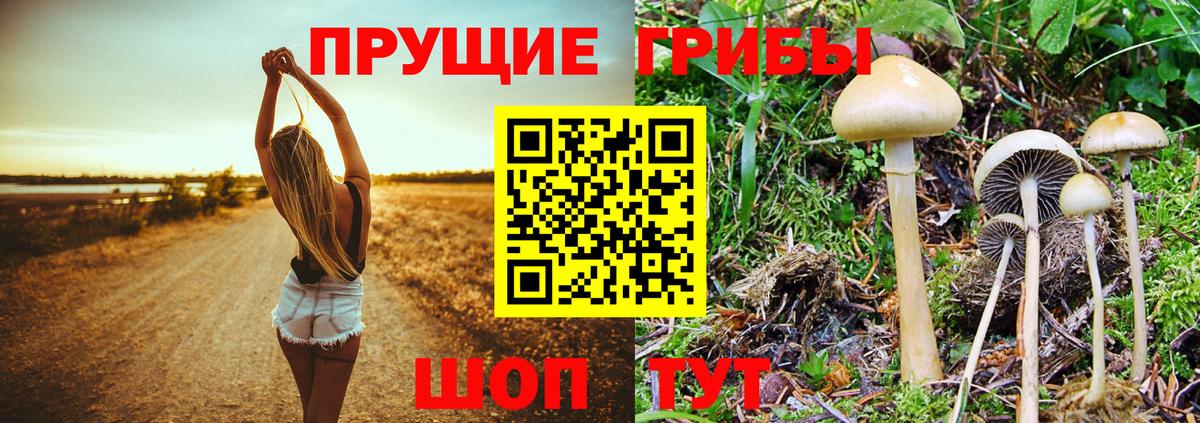 А ПВП СК   МДМА  Октябрьский  Марихуана  Меф кристаллы  Каннабис  NBOMe  LSD-25  ГАШ  Вход с VPN 